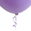 Ballon Snelsluiters Paars met Lint 100st