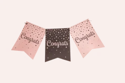 Banner Congrats Roze Zwart 6m