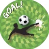 Borden Goal 23cm 8st
