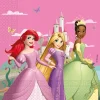 Disney Prinsessen Servetten 33cm 20st
