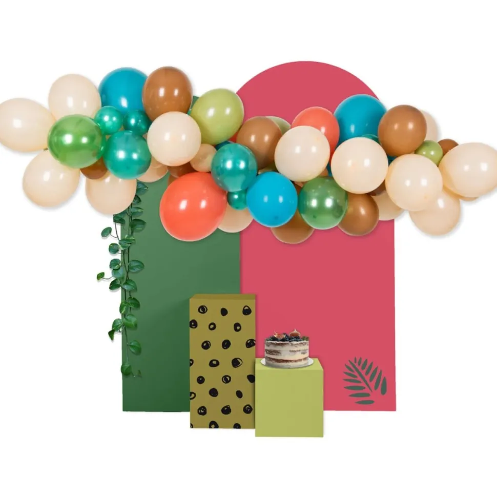 Gekleurde Ballonnenboog Zoo