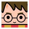 Gekleurde Harry Potter Servetten 33cm 16st