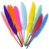 Gekleurde Veren 12cm 100st