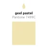 Gele Ballonnen Pastel 30cm 50st