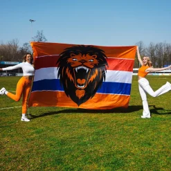 Gevelvlag Brullende Leeuw Xxl 3m