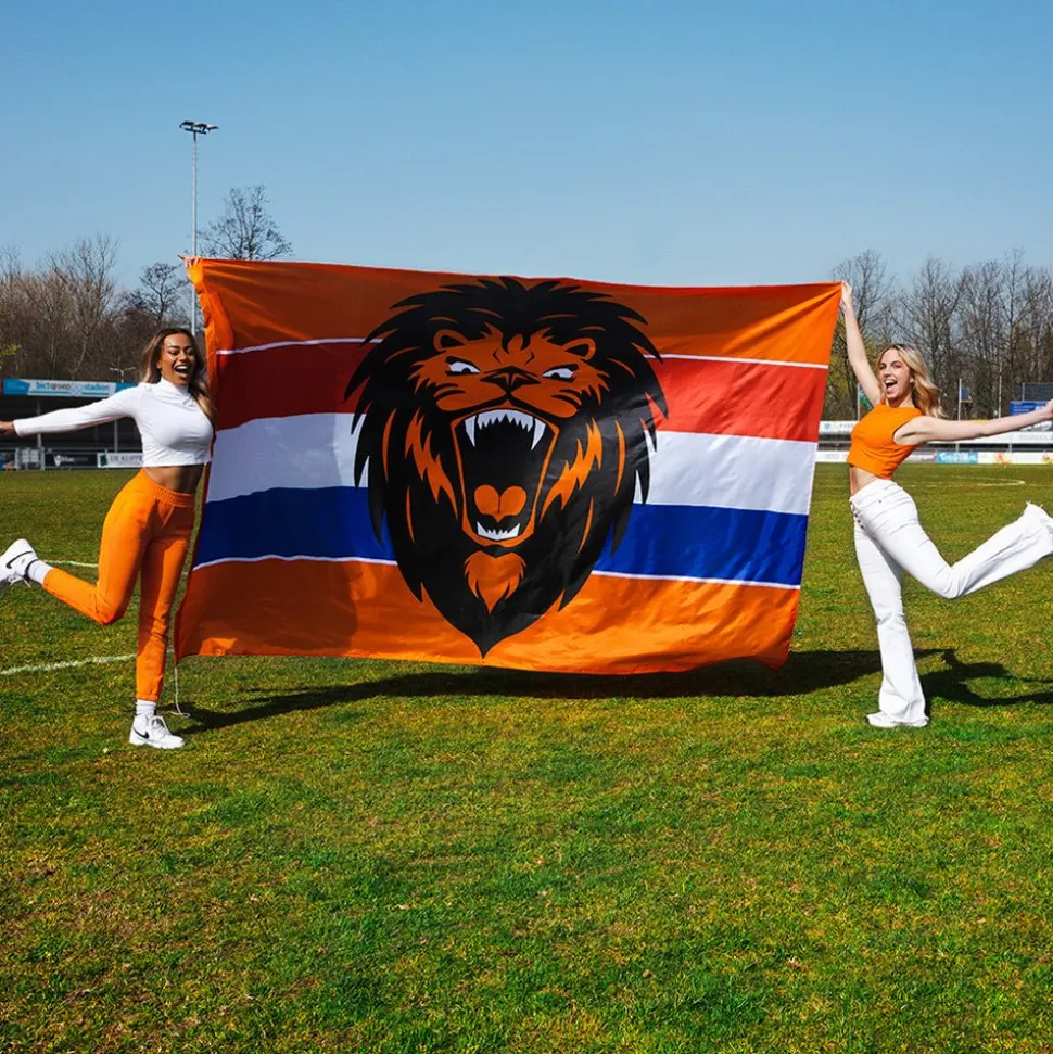 Gevelvlag Brullende Leeuw Xxl 3m
