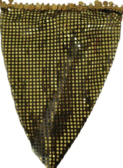 Gouden Hoofdband Munten