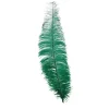 Groene Struisvogelveren 40cm 12st