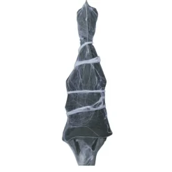 Halloween Pop Skelet In Spinnenweb