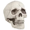 Halloween Schedel Beweegbare Kaak 21cm