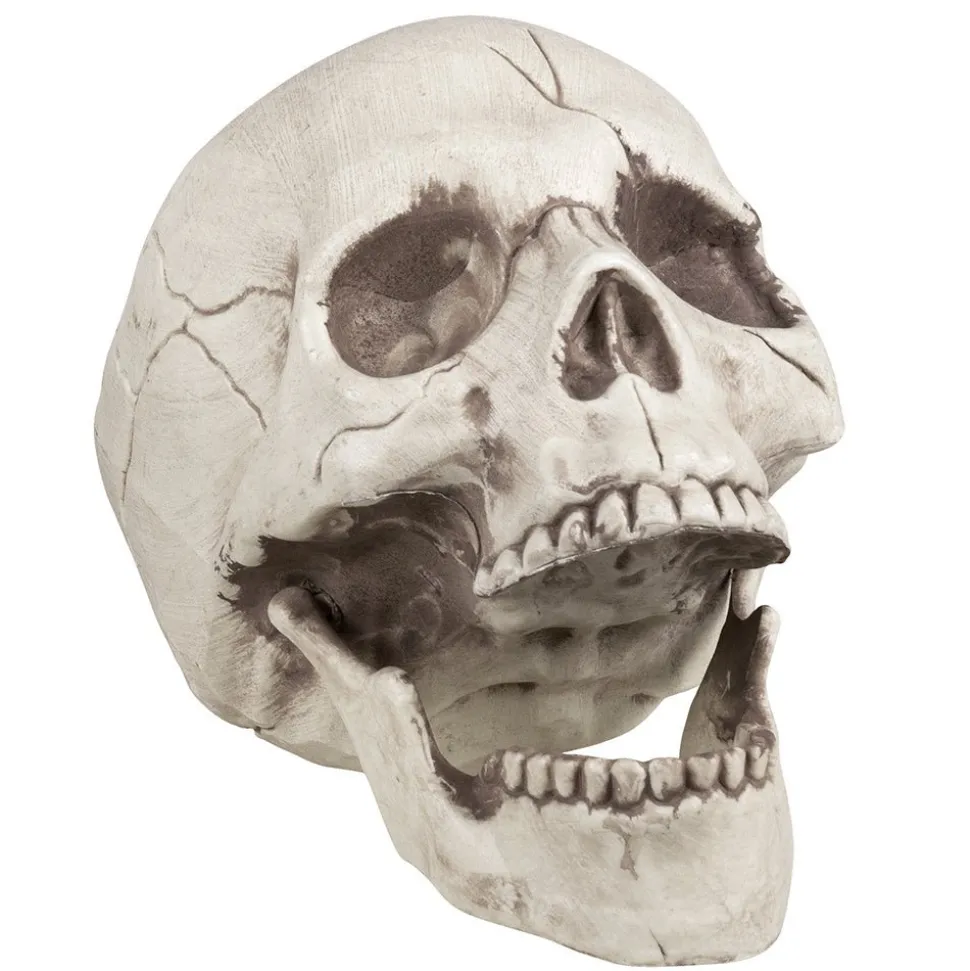 Halloween Schedel Beweegbare Kaak 21cm