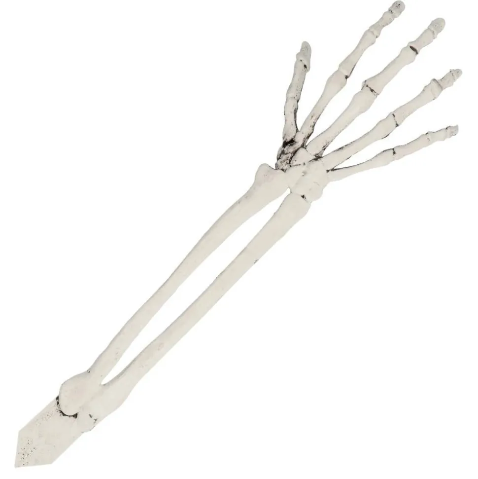 Halloween Skelet Schedel En Armen