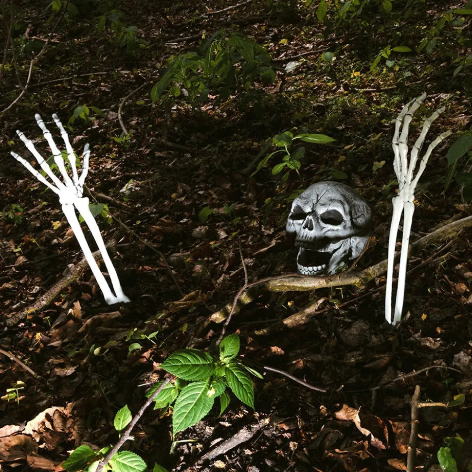 Halloween Skelet Schedel En Armen
