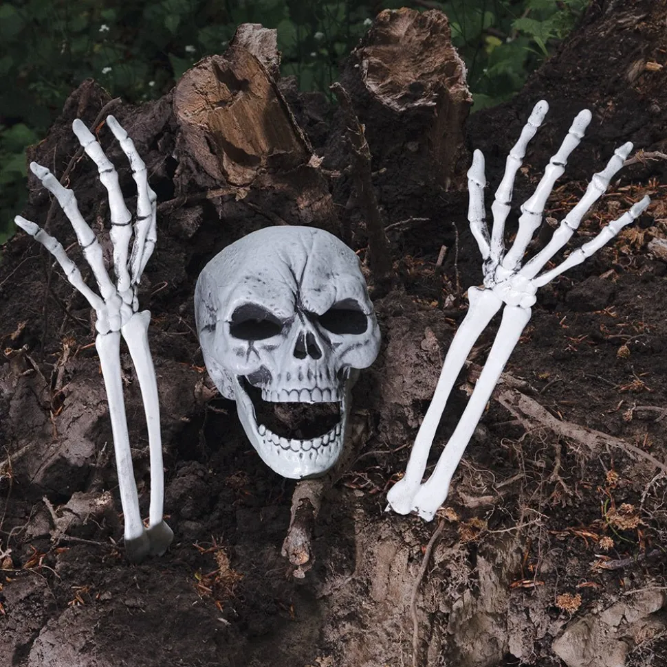 Halloween Skelet Schedel En Armen