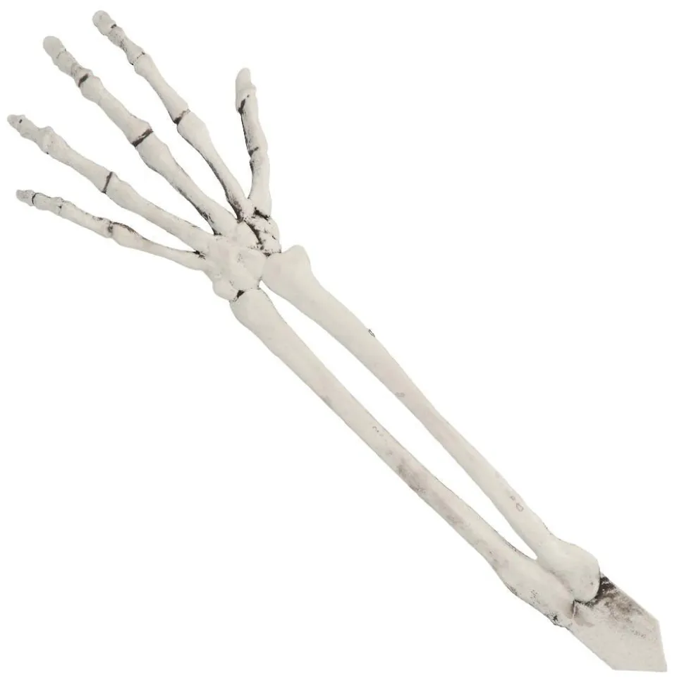 Halloween Skelet Schedel En Armen