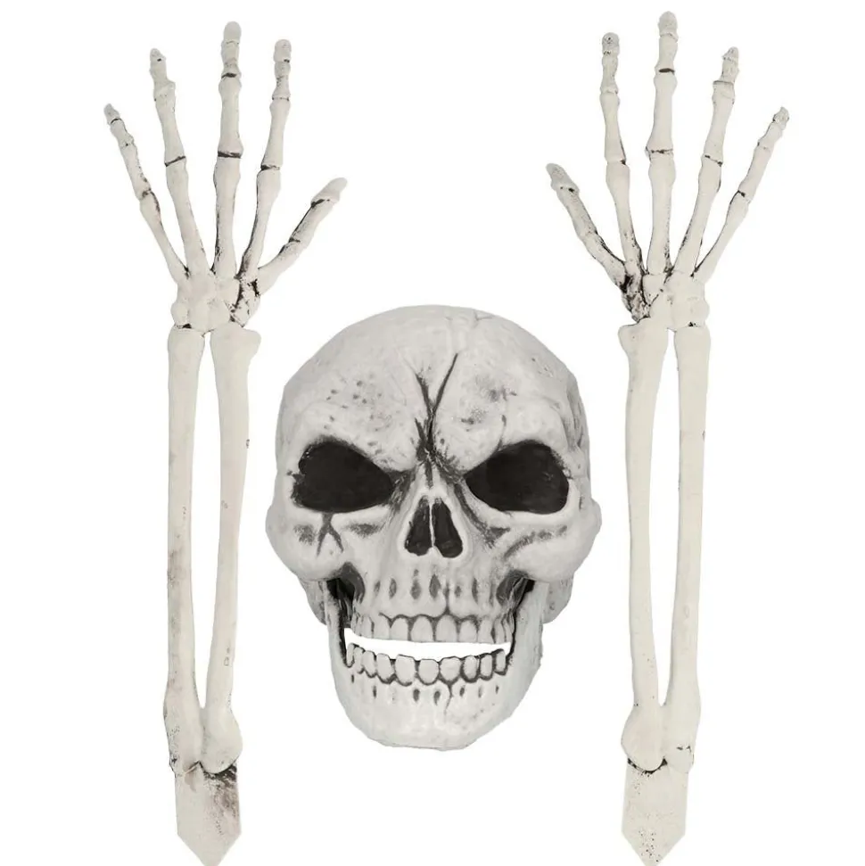 Halloween Skelet Schedel En Armen