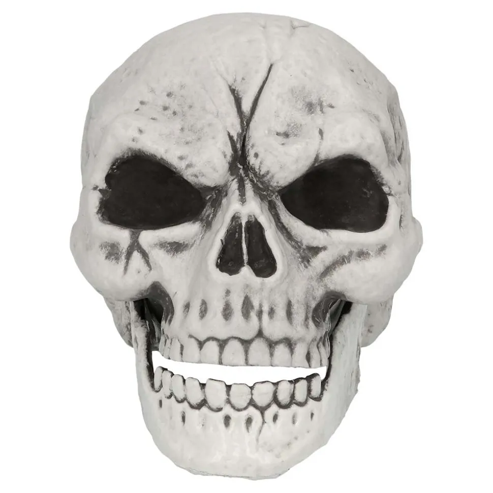 Halloween Skelet Schedel En Armen