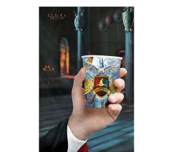 Harry Potter Bekers 240ml 6st