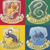 Harry Potter Servetten 25cm 16st