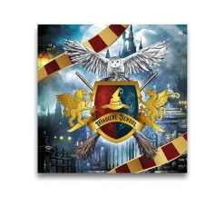Harry Potter Servetten 33cm 12st