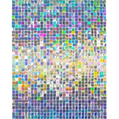 Holografisch Deurgordijn 30cm 12st