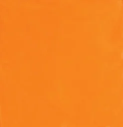 Oranje Bandana 54cm