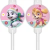 Paw Patrol Rietjes Skye And Everest 4st