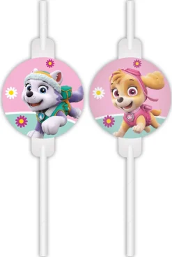 Paw Patrol Rietjes Skye And Everest 4st