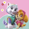 Paw Patrol Servetten Skye And Everest 33cm 20st