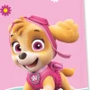 Paw Patrol Uitdeelzakjes Skye And Everest 4st