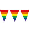 Regenboog Slinger 45Cm Vlaggen 10m