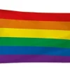 Regenboogvlag 150cm