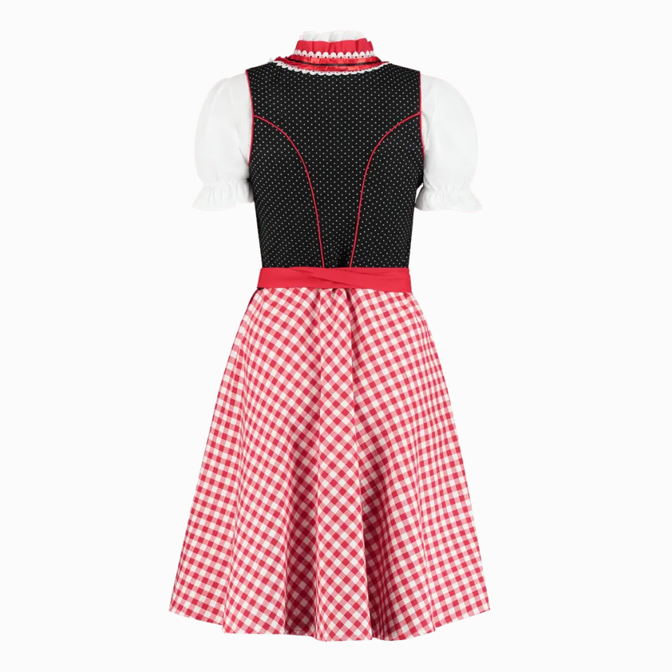 Rood Witte Dirndl Jurk Oktoberfest Dames Geruit