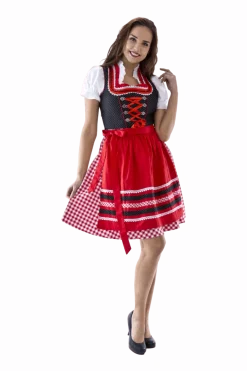 Rood Witte Dirndl Jurk Oktoberfest Dames Geruit
