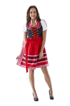 Rood Witte Dirndl Jurk Oktoberfest Dames Geruit