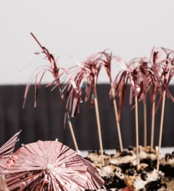 Rose Gouden Cocktailprikkers Parasol Lang 10st