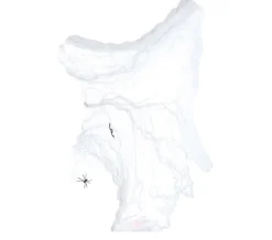 Spinnenweb 500gr