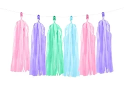 Tassel Slinger Gekleurd 2m