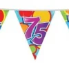Vlaggenlijn 75 Jaar 10m