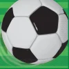 Voetbal Servetten 33cm 16st