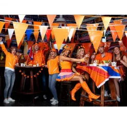 Zwaaivlag Nederland 76cm